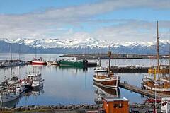 Husavik - Fakten über Island