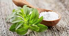 Ist Stevia gesund?